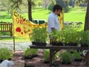 The Organic Farm on Cook turned out with many of its finest specimens on display