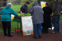 4H Sunflower Sale